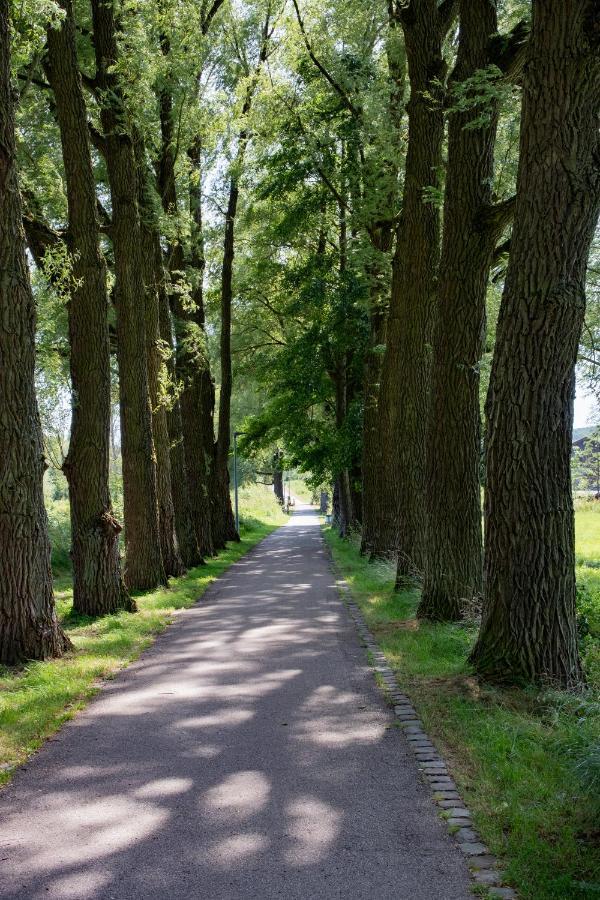 Gaestezimmer Aschenbrenner Bad Rodach Dış mekan fotoğraf
